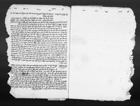 צוף דבש : פרושים על התורה.