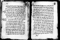שעור קומה.