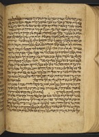 פרוש המשנה לרמב"ם בערבית (סדר זרעים).
