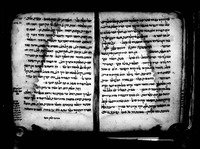 שער השואל.