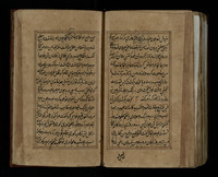 طوطى نامه.