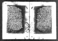 מתוק לנפש.