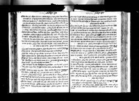 צמח דוד (לקוטים).