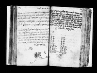 זמירות.