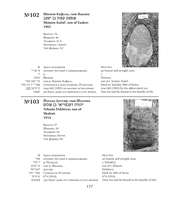 Лепель: память о еврейском местечке : = The shtetl of Lepel in contemporary cultural memory.