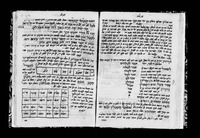 שרשי השמות.