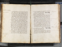 השגות על מורה נבוכים לרמב"ם.