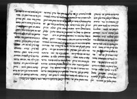שאהזאדה וצופי.
