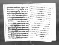 מטה לויה.