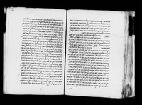 הלכות שחיטה ובדיקת הריאה.