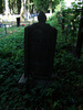 Photograph of: Jewish cemetery in Roslavl.