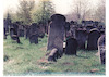 Photograph of: Jewish cemetery in Szydłowiec.
