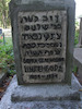 Photograph of: Jewish cemetery in Roslavl.