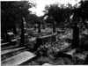 Photograph of: New Jewish Cemetery in Shumen.
