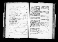 נגיד ומצוה.