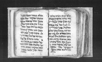 דיני שחיטה וטרפות.