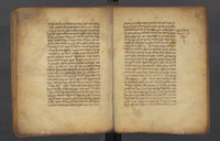 הלכות שחיטה.