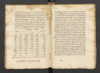 מאירת עינים.