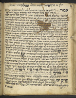פרדס שושן.