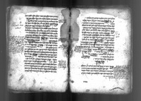 מרפא לעצם (קטע).