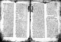 פרוש התורה לראב"ע – הספרייה הלאומית