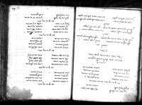 פיוטים ושירים : הפיוטים בעברית, עברית ואיטלקית משולב, ואיטלקית.