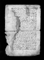 מאירת עיניים (בשלח, קטע).
