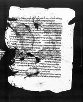 תפסיר אלמבסוט פי ספר ויקרא : הפרוש הארוך לויקרא.