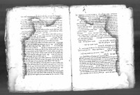 ספר הרפואות (קטע).