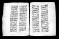 טור (יורה דעה).