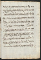 פרוש על ספר הארגוזה של אבן סינא.