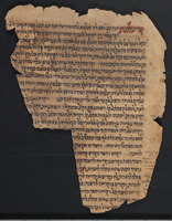 מדרש החפץ (פרשת ויקרא).