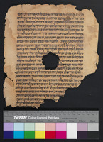 מדרש החפץ (פרשת שלח).