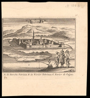 Petrinia