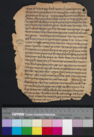 מדרש החפץ (פרשת ואתחנן).
