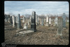 Tombstones. Photograph of: Jewish cemetery in Bečej