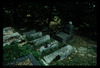 Tombstones. Photograph of: Jewish cemetery in Doboj