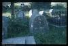 Tombstones. Photograph of: Jewish cemetery in Mostar
