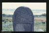 Tombstone. Photograph of: Jewish cemetery in Bălţi (Bel'tsy, Belts) - photos 1994