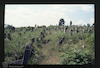 General view. Photograph of: Jewish cemetery in Bălţi (Bel'tsy, Belts) - photos 1994