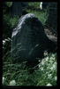 Tombstones. Photograph of: Jewish cemetery in Mostar – הספרייה הלאומית