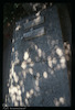 Tombstone. Photograph of: Jewish cemetery in Kotor