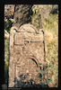 Tombstone. Photograph of: Jewish cemetery in Vyzhnytsia (Vijniţa), color photos