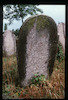 Tombstone. Photograph of: Jewish cemetery in Sombor