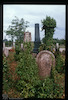 Tombstone. Photograph of: Jewish cemetery in Sombor – הספרייה הלאומית