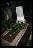 Tombstone. Photograph of: Jewish cemetery in Rijeka
