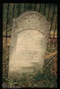 Tombstone. Photograph of: Jewish cemetery in Strzyżów