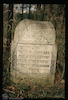 Tombstone. Photograph of: Jewish cemetery in Strzyżów