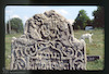 Tombstone. Photograph of: Jewish cemetery in Tulchyn?