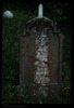 Tombstone. Photograph of: Jewish cemetery in Tuzla – הספרייה הלאומית